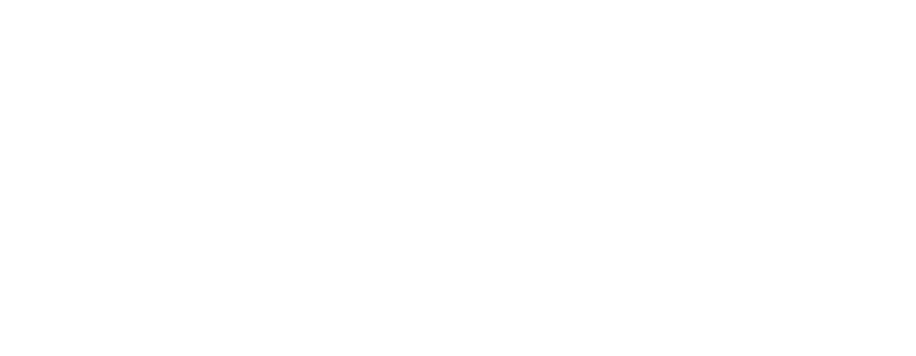Carnival Corporation & plc